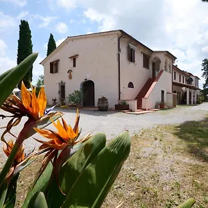 Antichi Palmenti - Erica Alloggio per agriturismo San Vincenzo